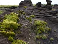 Grünes Moos und schwarze Lavatürme am Dyrhólavegur